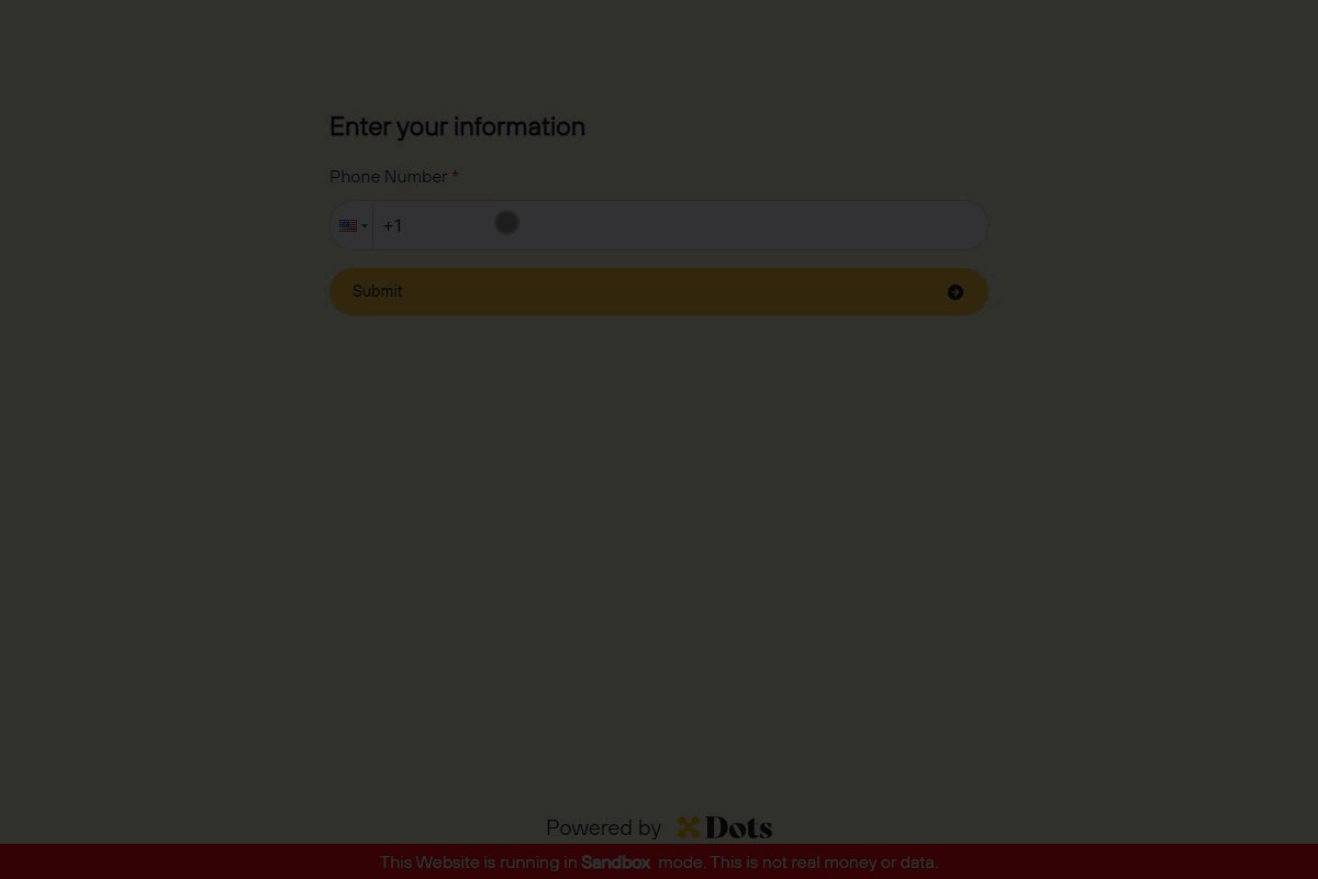 Onboarding Flow